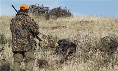 What Is The Best Time To Go Hunting What Is The Best Time To Go Hunting